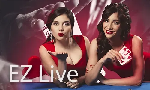 bingoplus live dealer baccarat game