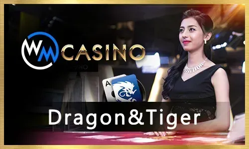 Secure and Fair 777plus Gaming Environment