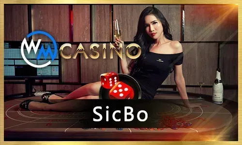 bingoplus online bingo community interaction